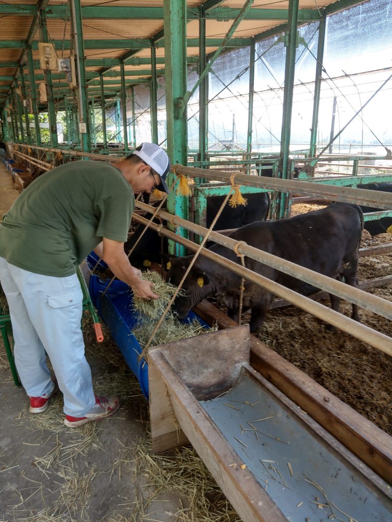 100%自給粗飼料による“腹づくり”