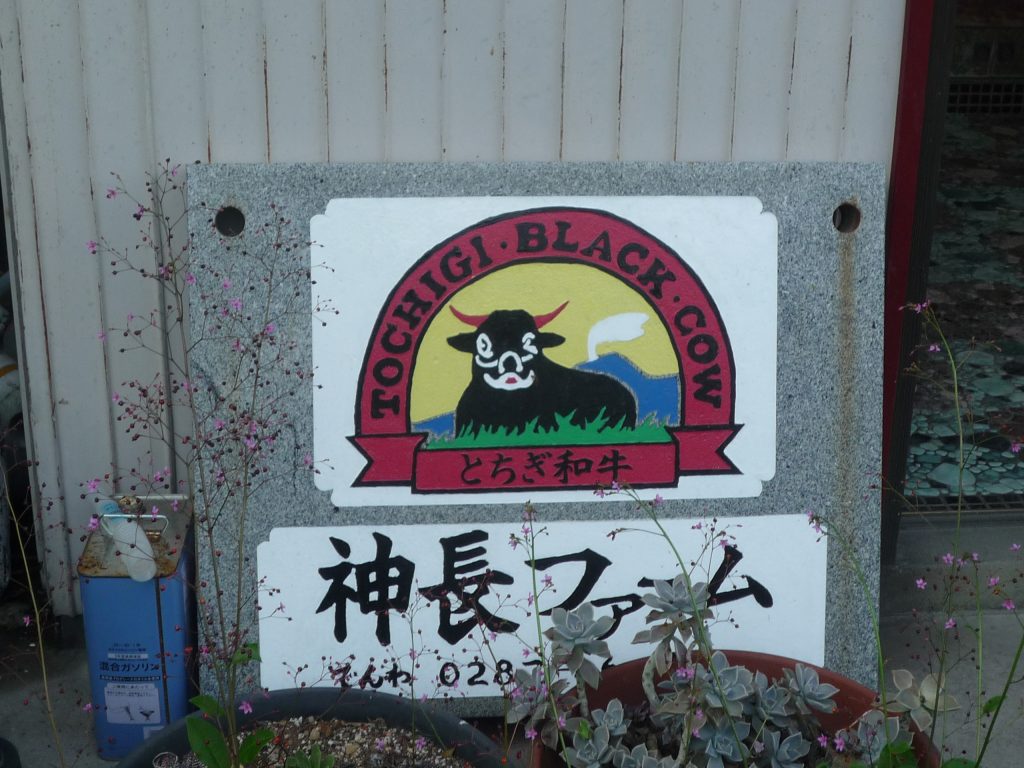 (株)神長ファーム (株)神長ファーム