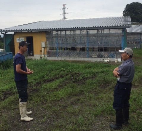 耕畜連携による転作および休耕田活用による飼料作物自給