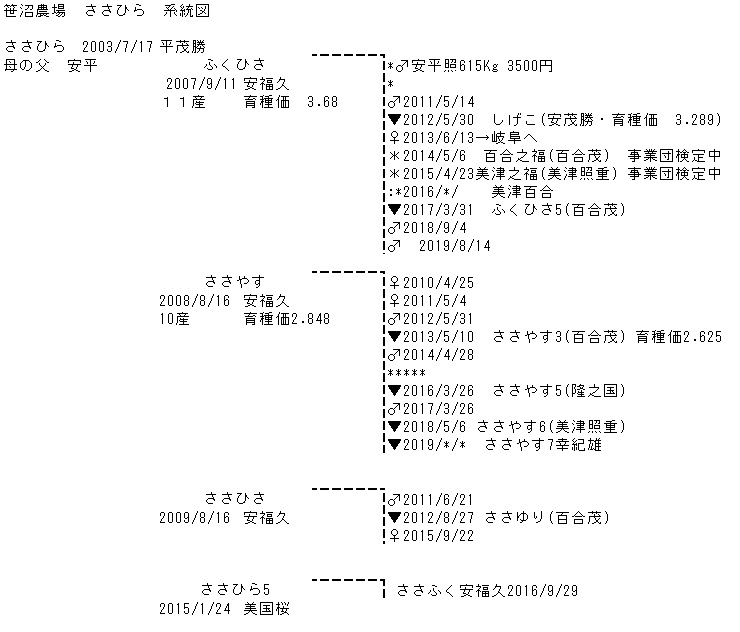 笹沼農場　ささひら　系統図